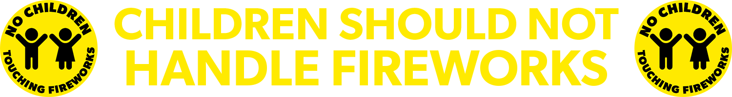 children should never handle fireworks